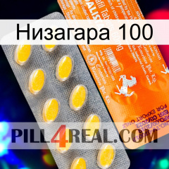 Низагара 100 new05